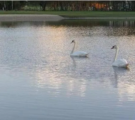 Osrodek Wypoczynkowy Koala 度假居 达布基