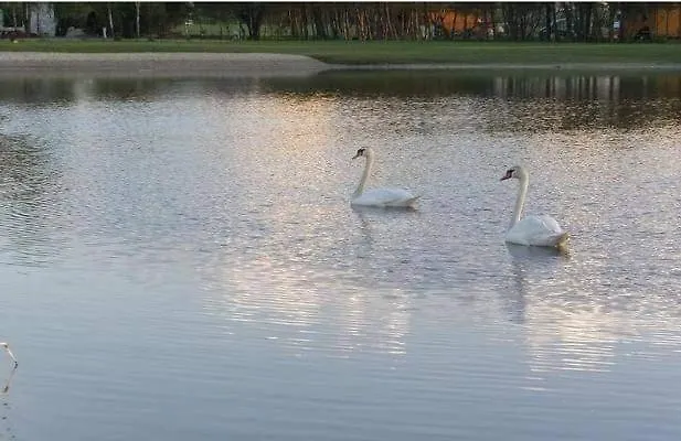 Osrodek Wypoczynkowy Koala Casa de Férias Dąbki